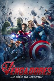 Avengers 2 Era de Ultrón