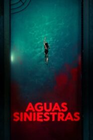Aguas siniestras (Night Swim)