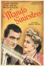 El mandamiento oscuro (Mando siniestro)