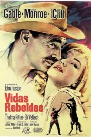 Los inadaptados (Vidas rebeldes)