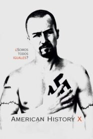 Historia americana X (American History X)