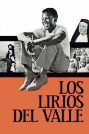 Una voz en las sombras (Los lirios del valle)