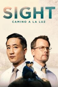 Sigth: Camino a la luz